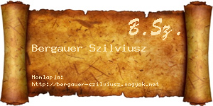 Bergauer Szilviusz névjegykártya